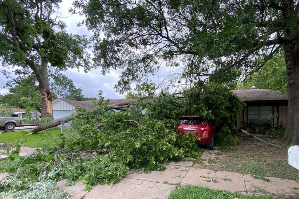 tree-fall-insurance-claim-car