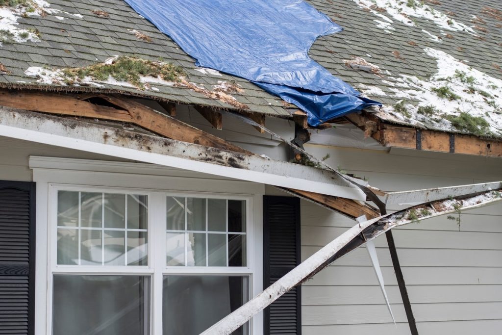 Residential house crushed by fallen trees and tree limbs during severe winter storm with strong winds.